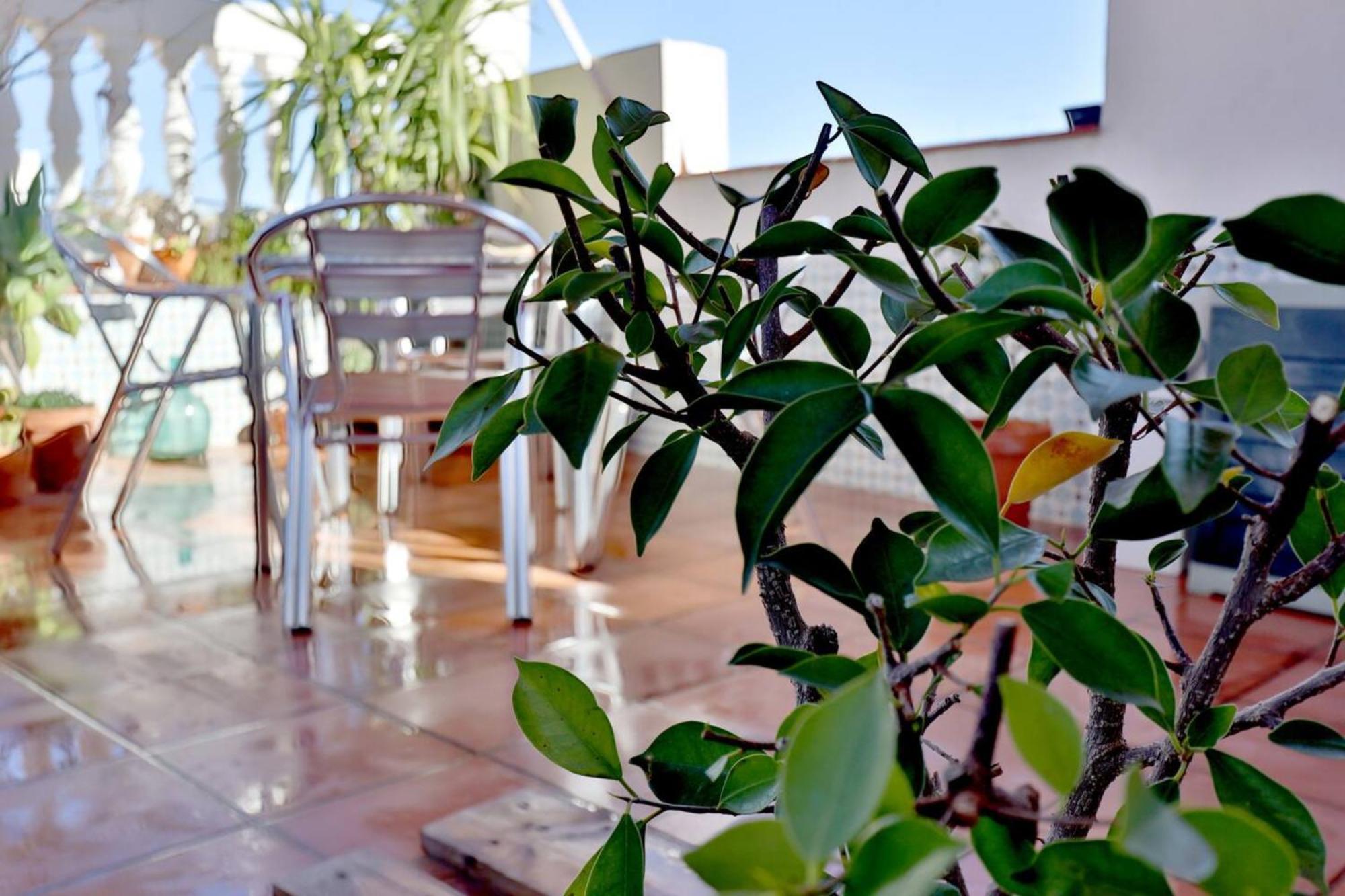 Atico Con Terraza En Pleno Centro Apartment *